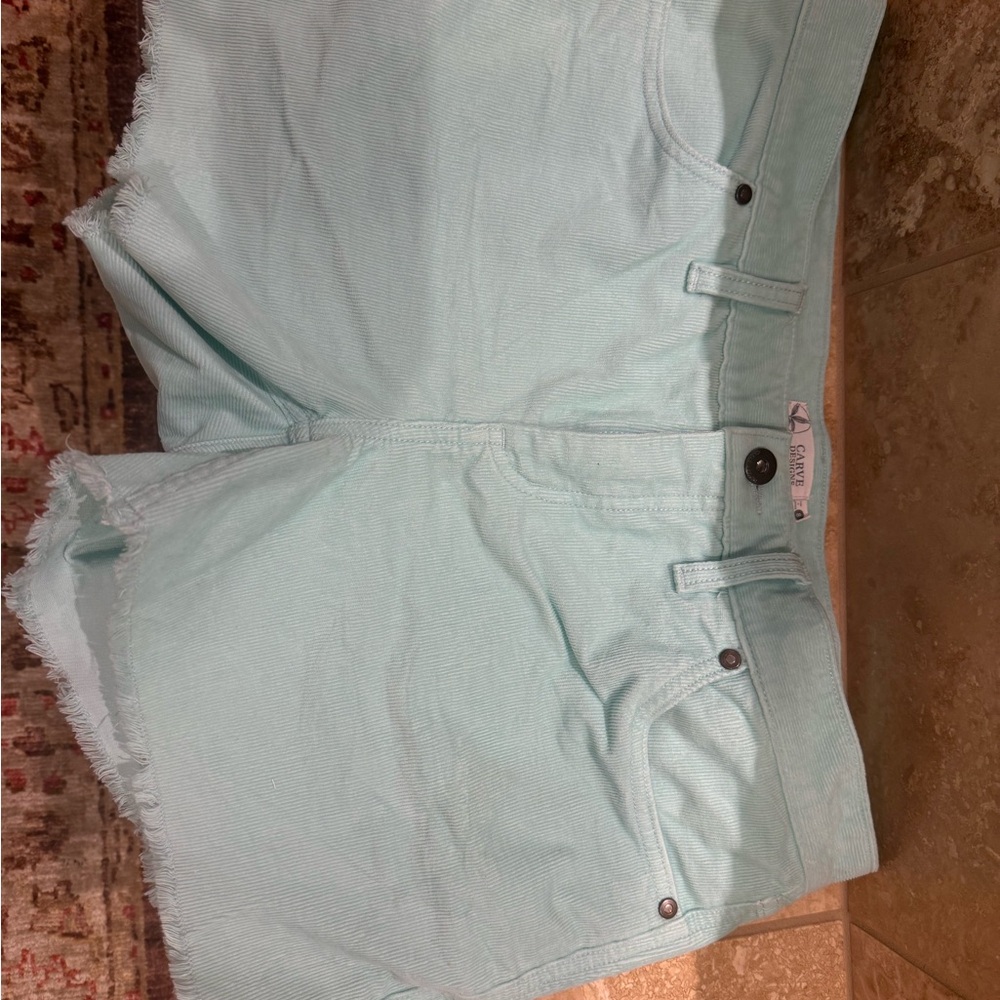 Carve Designs Oahu Hi Rise 4” Short Size 8. Light green/blue